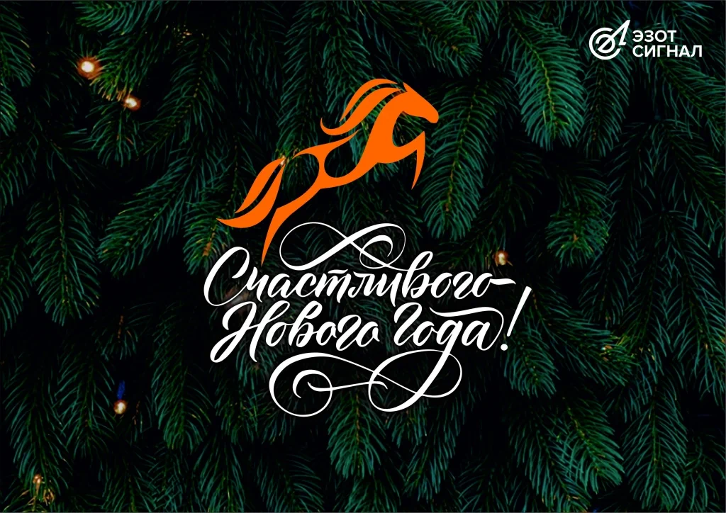 ЭЗОТ Сигнал Новый год 2026.jpg
